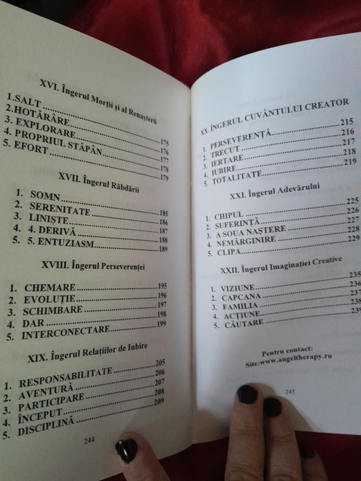 RARA,Asculta-ti ingerul Carte de divinatie,oracol ghicit, Lidia Birsan