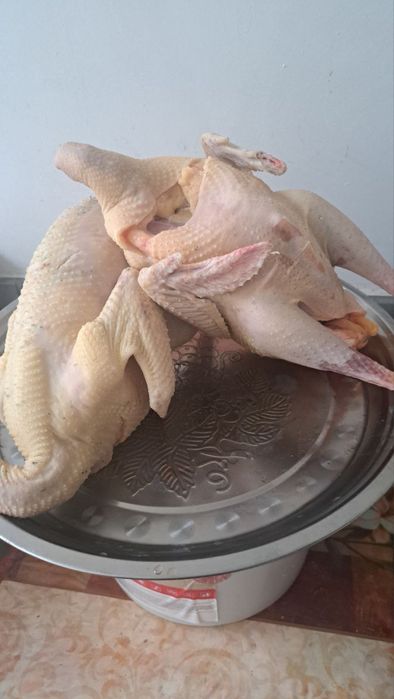 Курка сотилади.