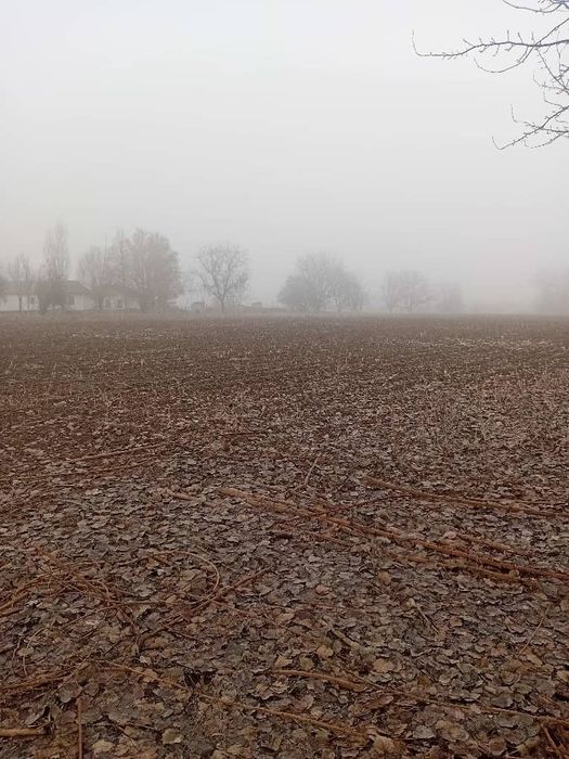 Тез орада уй сотилади