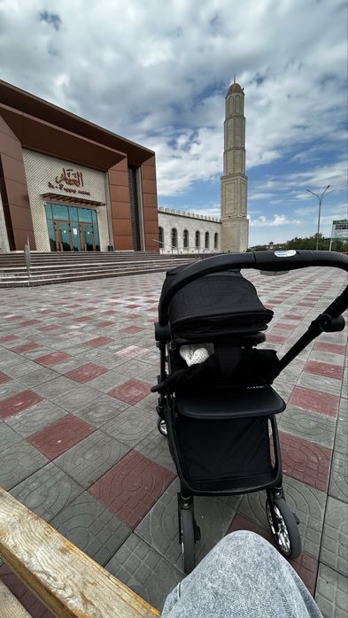 коляска ining baby