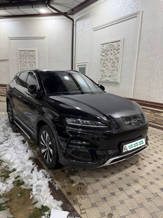 Byd chimpiyon 2024-yil