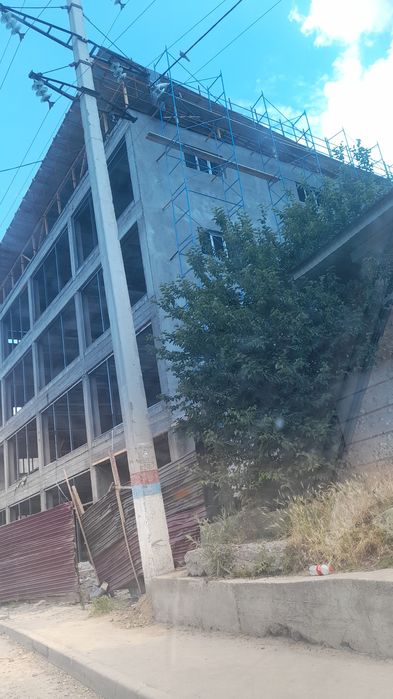 Арзан багада леса сатылады