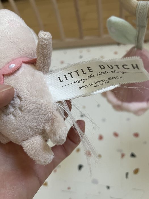 Little dutch baby gym