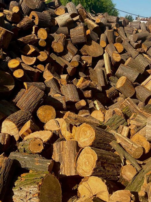 Lemn de foc IASI FAG uscat la palet - 1 x 1 x 1m - Asiguram transport