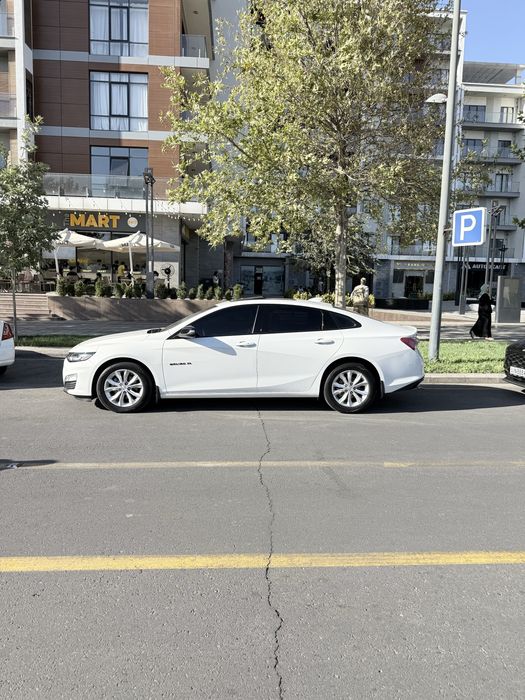 Malibu XL 2023 Tozza