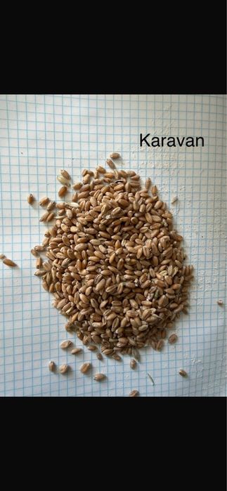 Продаются корма доя животных