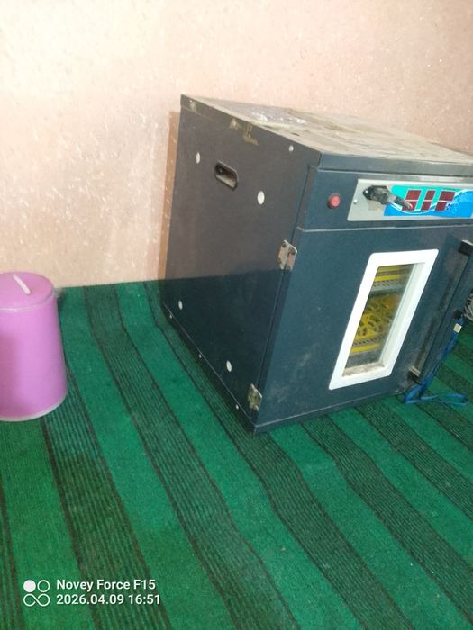 Inkubator aparatti