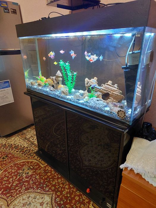 Akvarium hamma narsalari bilan sotiladi