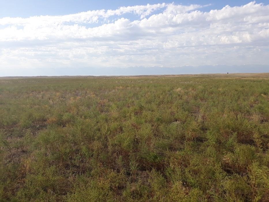 Продам участок (к/х, с/х)