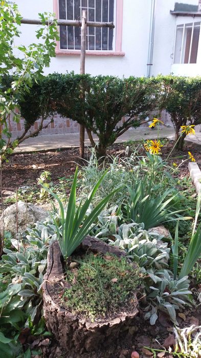 Продава се Къща в с. Бутан, Област Враца - 360 кв.м за 190 €/кв.м - Снимка #6