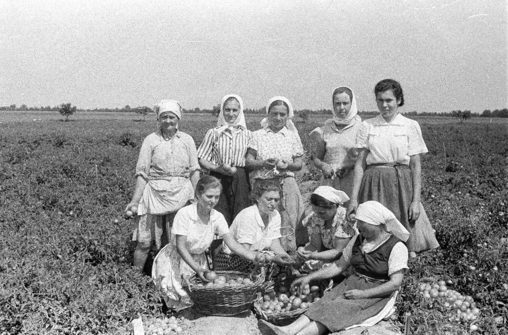 Scanare/Digitalizare film vechi 35mm