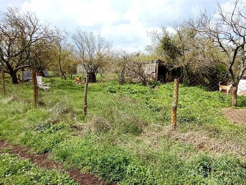 Продава се Парцел в с. Храброво, Област Добрич - 1235 кв.м за 7 €/кв.м - Снимка #3