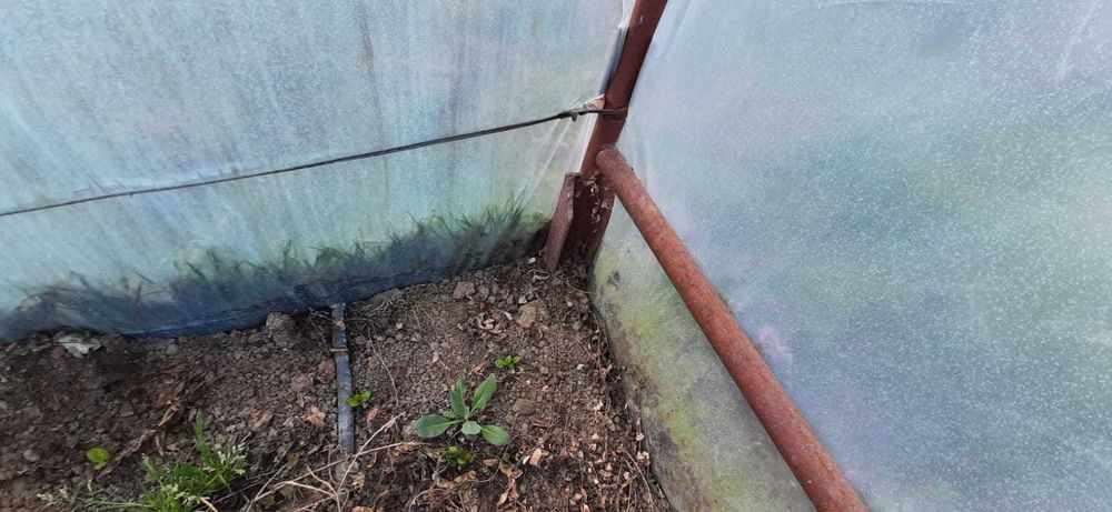 De vanzare sera Craiova