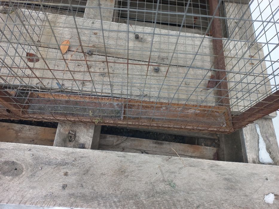 Сетка для птиц и кур и цыплят