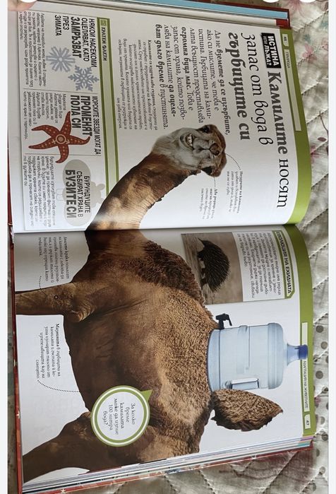 Енциклопедия „Истина или лъжа!”