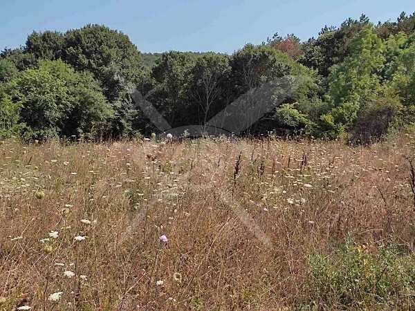 Продава се Парцел в Созопол - 300 кв.м за 55 €/кв.м - Снимка #1