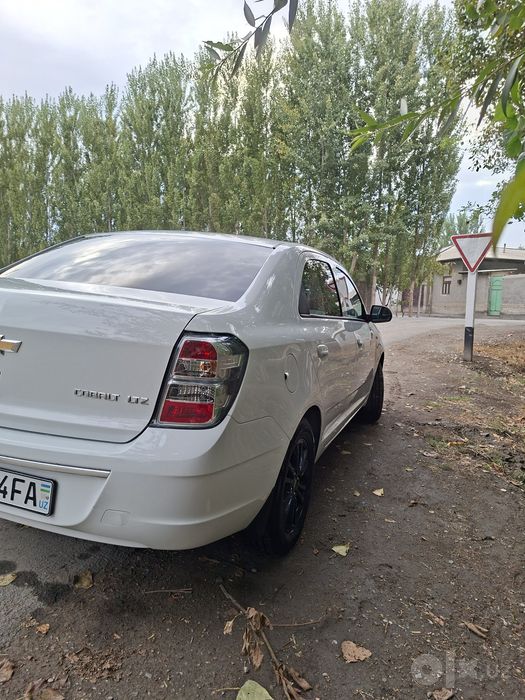 Masla holatda kraska toza