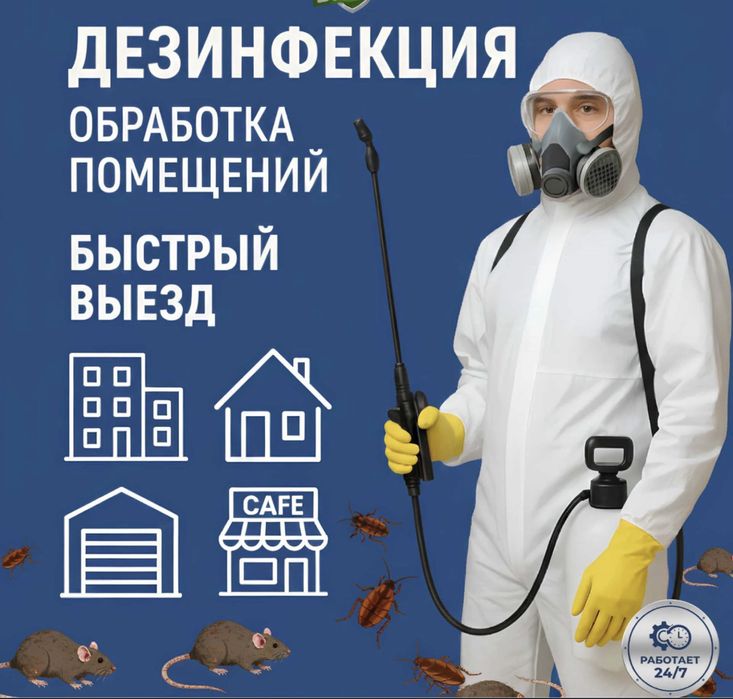 Офис в городе Семей