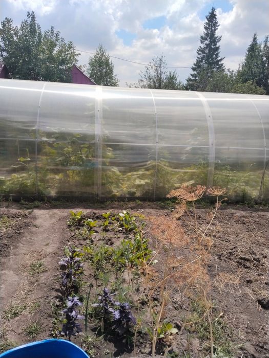Продам дачу Ахмирова