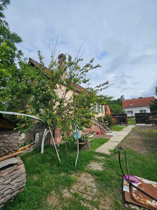 Casă de vânzare cu grădină și curte mare în orașul Lipova, jud.Arad.