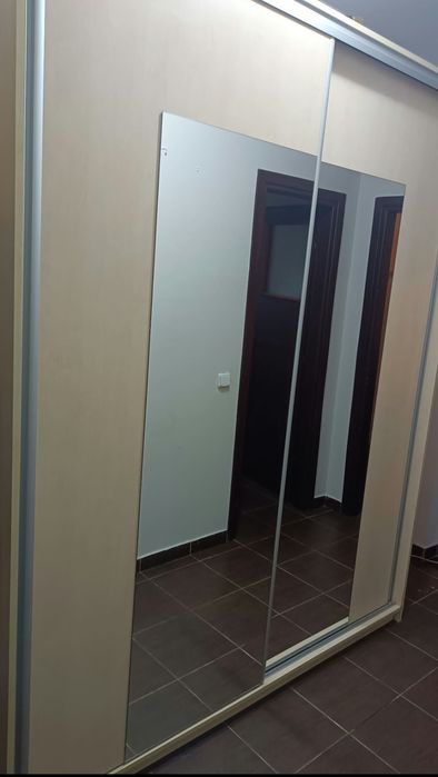 Dressing modern Mobexpert mare
