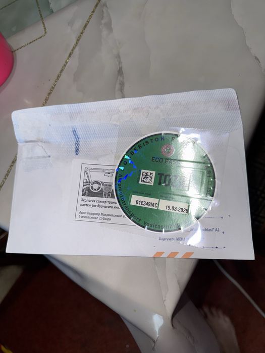 Кот чистокровный британец окрас Золотой Шиншилла nu 12