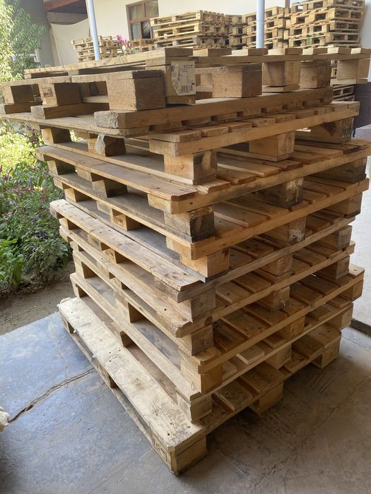 Paddon sotvolamiza yaxahi narxlada