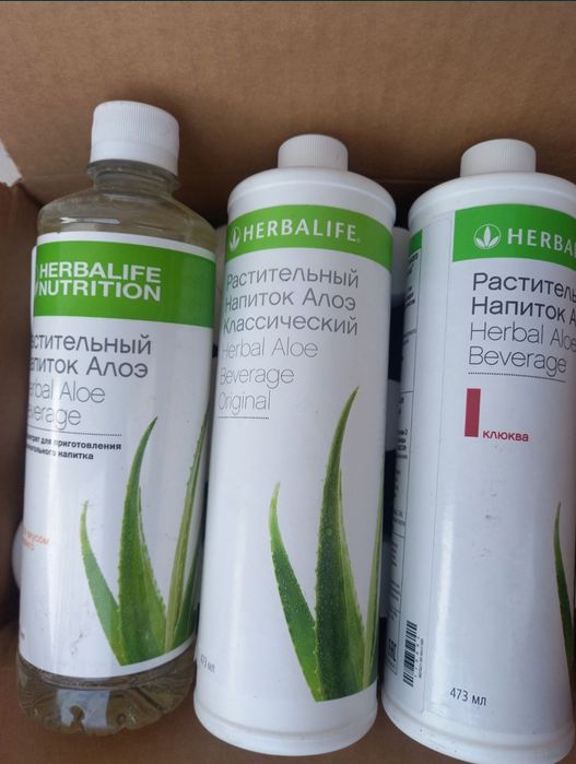 Гербалайф Казахстан алоэ Herbalife aloy ichimligi