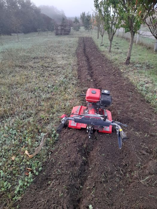 Sap gradini cu motocultor