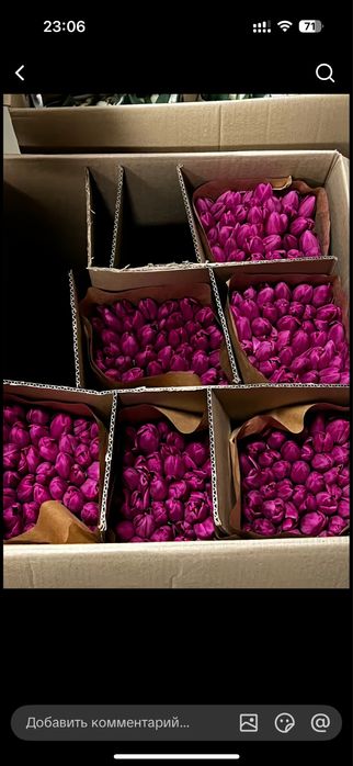 Тюльпаны на 8 марта