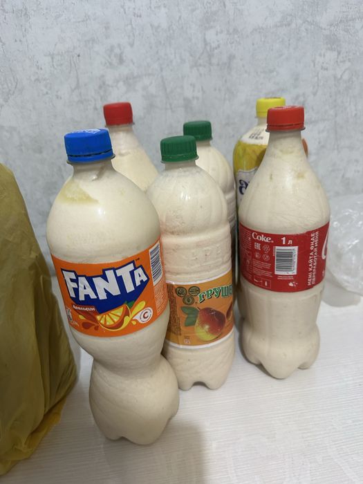 Жидкий курт Тургайский