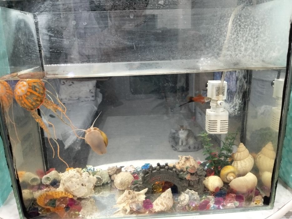 Продам аквариум на 18 литров