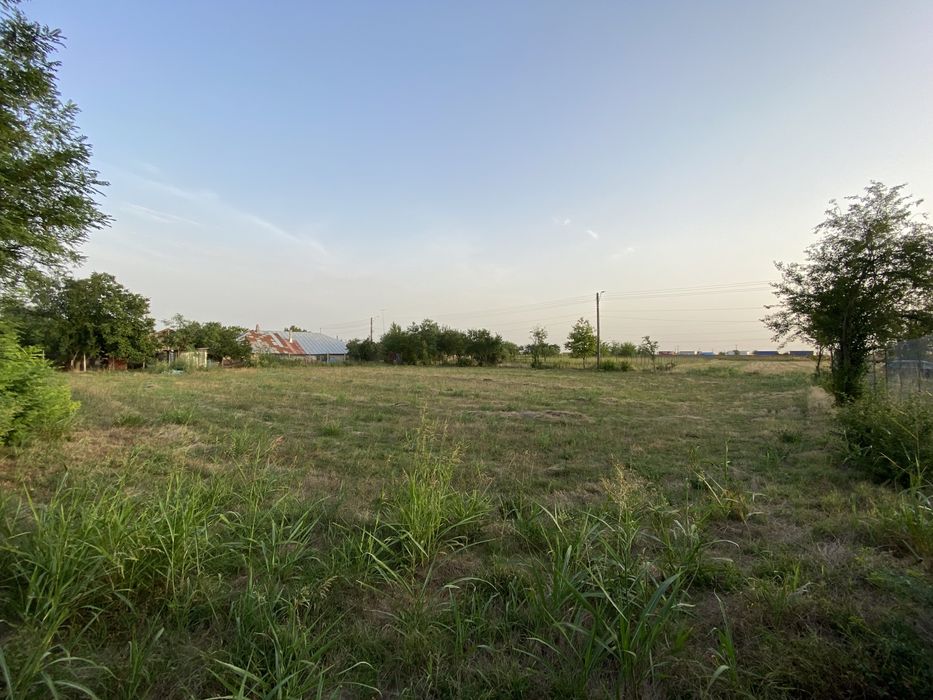 Vand teren intravilan giurgiu plopsoru daia Giurgiu • OLX.ro