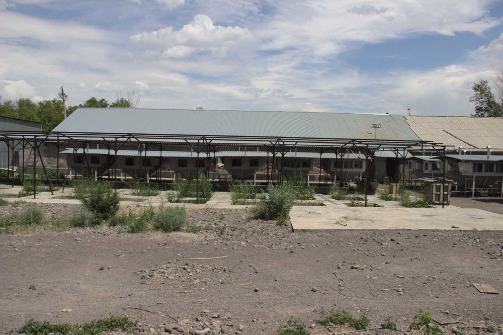 Клетки для кроликов уличного содержания. 110 клеток