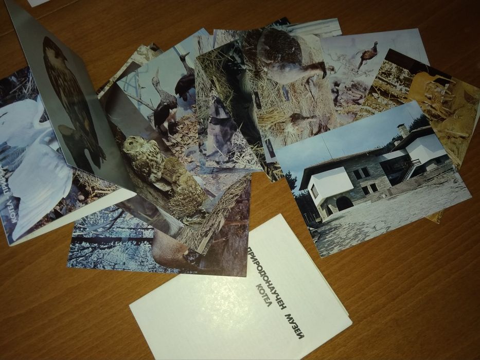 Картички за колекция, монети