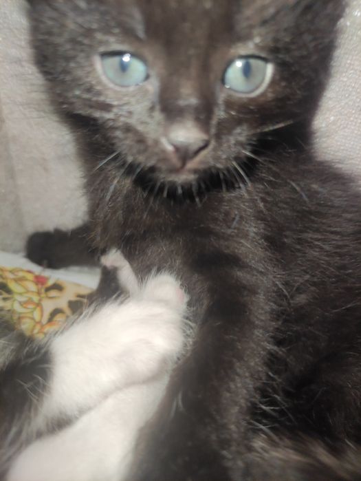 Суммая 24 24 в Самаре