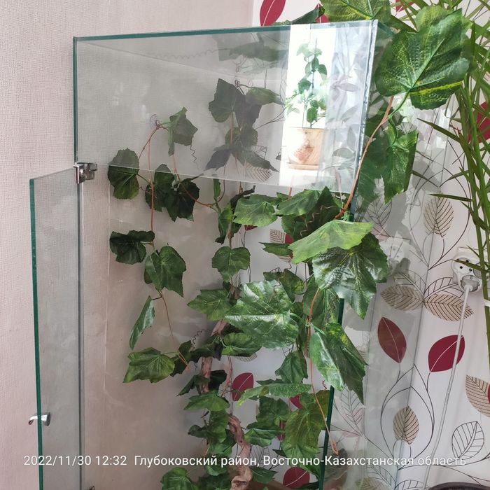 Продам террариум для рептилий