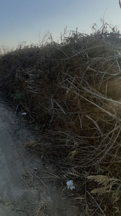 Утин сотилади тезда