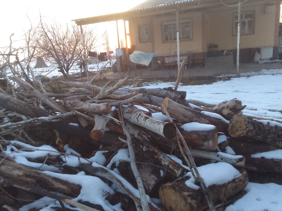 Otin sotiladi, келиштириб бераман