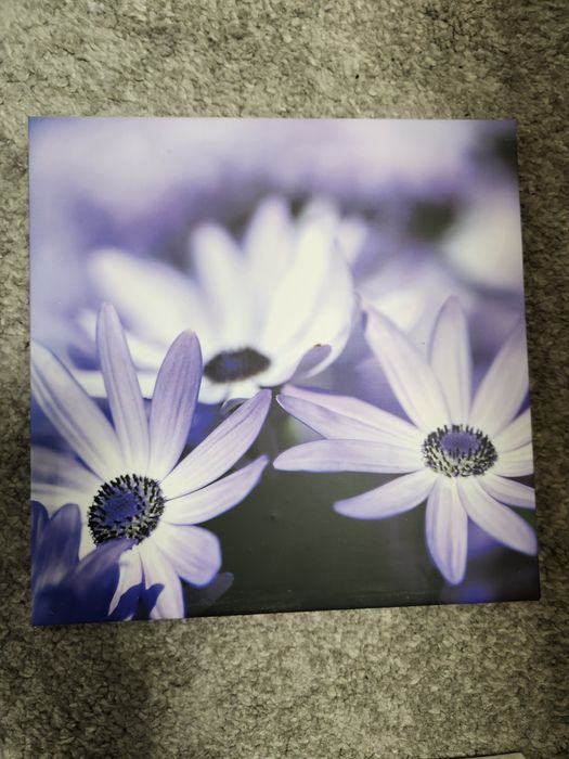 Vand 4 tablouri, canvas, noi