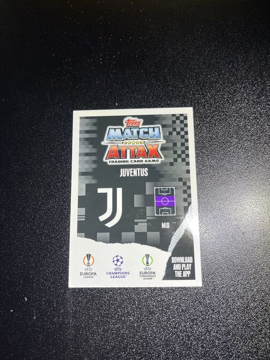 Cartonas Pavel Nedved Limited Edition