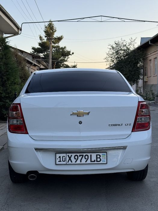 Cobalt 2025 full