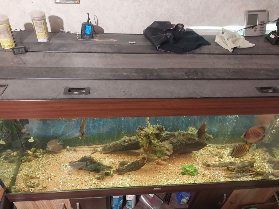 Аквариум 600 литра