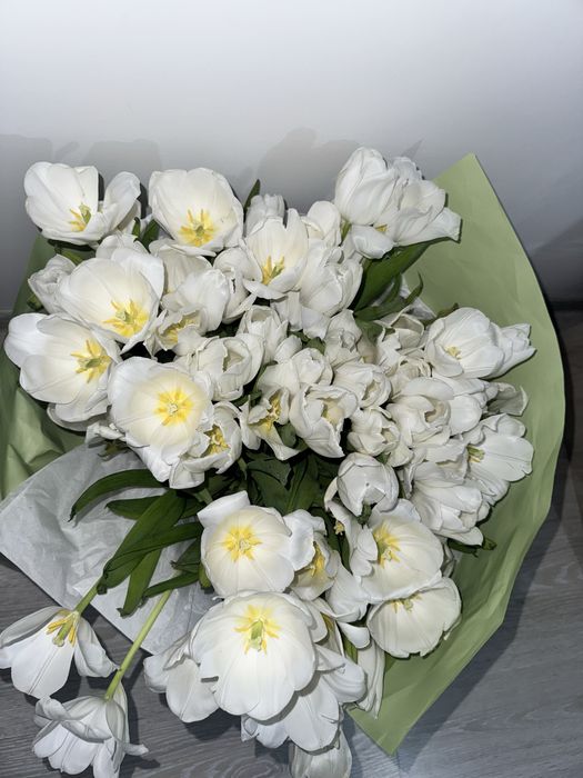 Тюльпаны цветы 71 штук