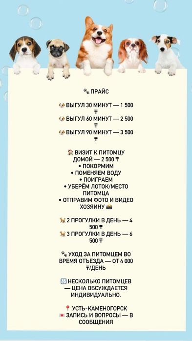 Выгул собак в Усть-Каменогорск