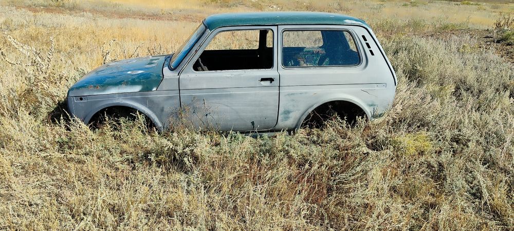 Кузов от нивы продам