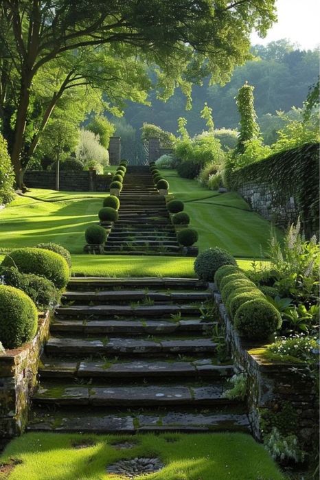 Газон уриш хизмати арча ва шамшот изгиридларга шакил бериш