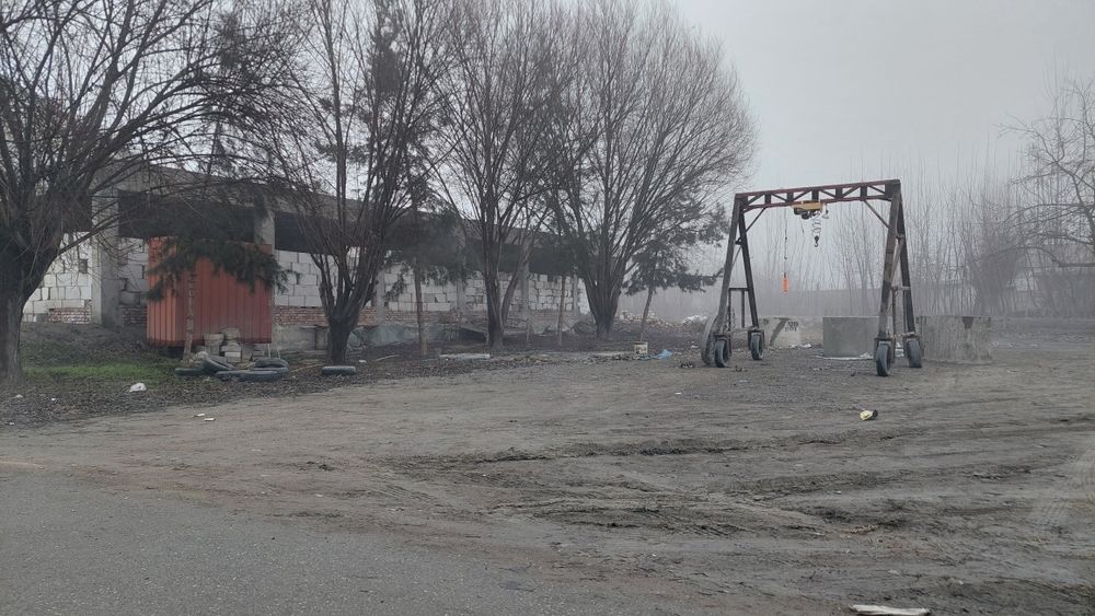 Noturar joy binosi bor