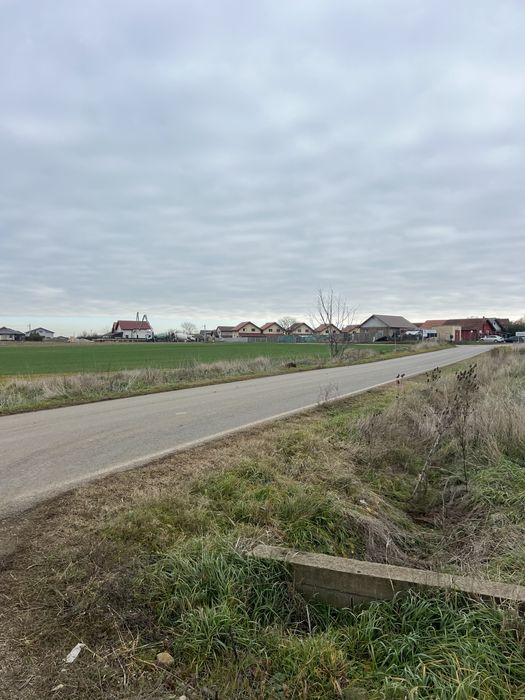 Parcele de vanzare la sanandrei