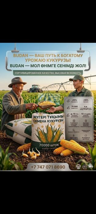 Кукуруза жугеры семена Урук